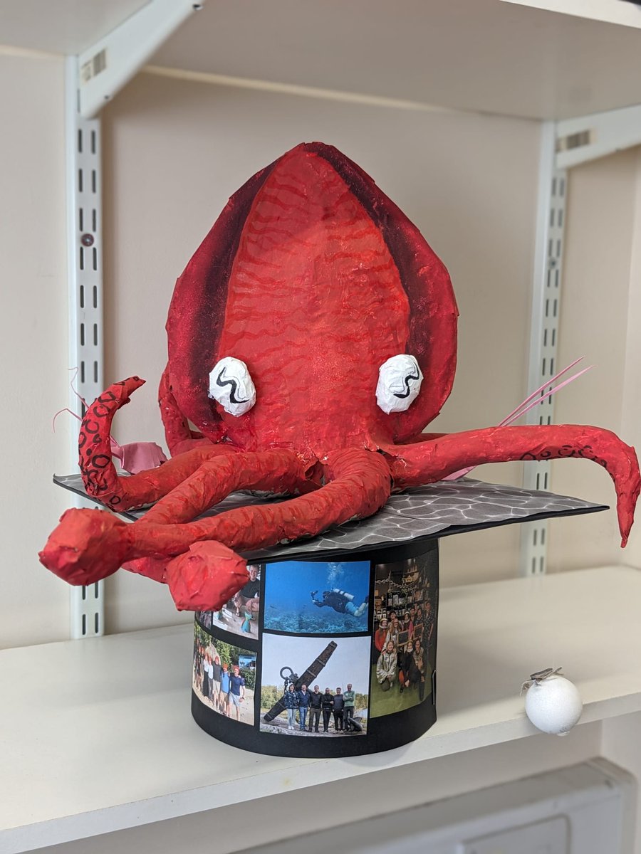 Christian Drerup (@chris_drerup) on Twitter photo 🚨So thrilled to announce that I've passed my PhD viva this week! A big thanks to <a href="/SensoryEcology/">Martin Stevens</a> and <a href="/EdgarCTurner/">Edgar Turner</a> for the great viva, as well as <a href="/JHerbertread/">James Herbert-Read</a> and my lab <a href="/MarineBehavEcol/">Marine Behavioural Ecology</a> for the most amazing cephalopod and crustacean-themed presents!🦑🦀
#PhDone #DrDre #DrErup 🚨So thrilled to announce that I've passed my PhD viva this week! A big thanks to <a href="/SensoryEcology/">Martin Stevens</a> and <a href="/EdgarCTurner/">Edgar Turner</a> for the great viva, as well as <a href="/JHerbertread/">James Herbert-Read</a> and my lab <a href="/MarineBehavEcol/">Marine Behavioural Ecology</a> for the most amazing cephalopod and crustacean-themed presents!🦑🦀
#PhDone #DrDre #DrErup