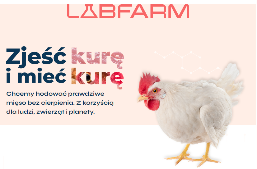 tycjann's tweet photo. Polskie #mięsoKomórkowe. Firma #LabFarm pokazała prototyp drobiowego pulpecika wyhodowanego praktycznie całkowicie z mięsa komórkowego — nie jest to produkt hybrydowy. Co to znaczy? Że można jeść prawdziwe mięso pozbawione antybiotyków i potencjalnych zanieczyszczeń/chorób bez hodowania i zabijania zwierząt. W dodatku bez zużywania takiej ilości wody i np. bez problemów związanych z zanieczyszczania wód gruntowych, powodowanych przez hodowlę zwierząt.
Mięso komórkowe tworzy się przez pobieranie z żywego zwierzęcia jego komórek macierzystych, które potem są namnażane laboratoryjnie i łączone w grupy, które odtwarzają strukturę mięsa.
"W LabFarm chcemy uprawiać mięso, bardzo podobnie do tego, jak uprawia się zboże. Właśnie dlatego proces ten nazywany jest rolnictwem komórkowym. Zamiast pola, maszyn, pracy rolników i nasion, od których wszystko się zaczyna, potrzebujemy laboratorium, specjalnych urządzeń, doświadczonych naukowców i kilku komórek. Na naszej farmie nie uprawiamy pszenicy czy żyta, ale czyste mięso".
Tutaj znajdziecie informacje o samym procesie: https://t.co/MHh0JgGXyf