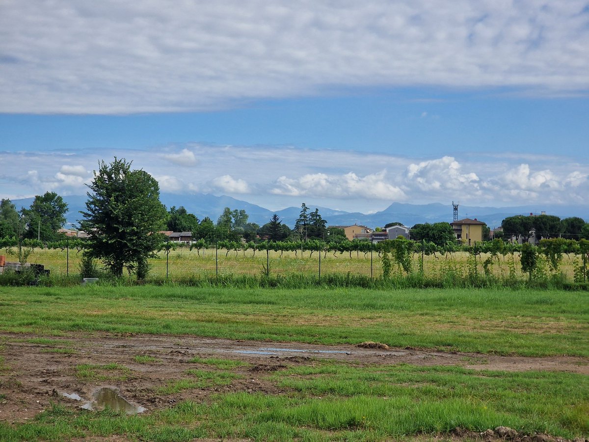 7sReferee tweet media