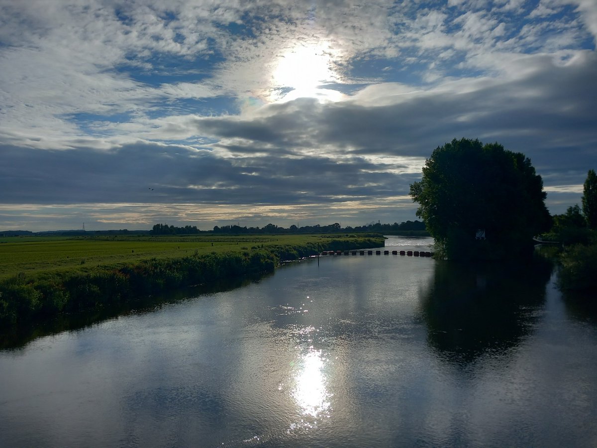 Dr Jennifer Andrews PhD tweet media