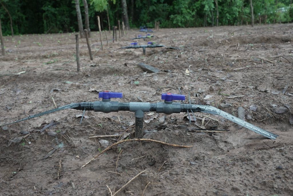 FTagbaNolaki's tweet image. Le #CIDAP est un centre de formation des agriculteurs de demain. 

Osez découvrir leurs prestations au profit de tous! jeunes, professionnels, vacanciers…

#Togo 🇹🇬 #TeamEurope 🇪🇺
#AgricultureDurable
#Chainedevaleur
