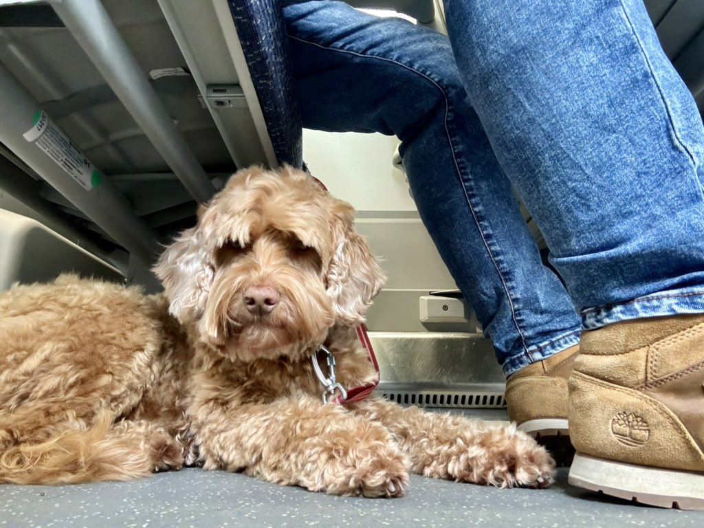 Jane Stokes - Photographer 💙 tweet media