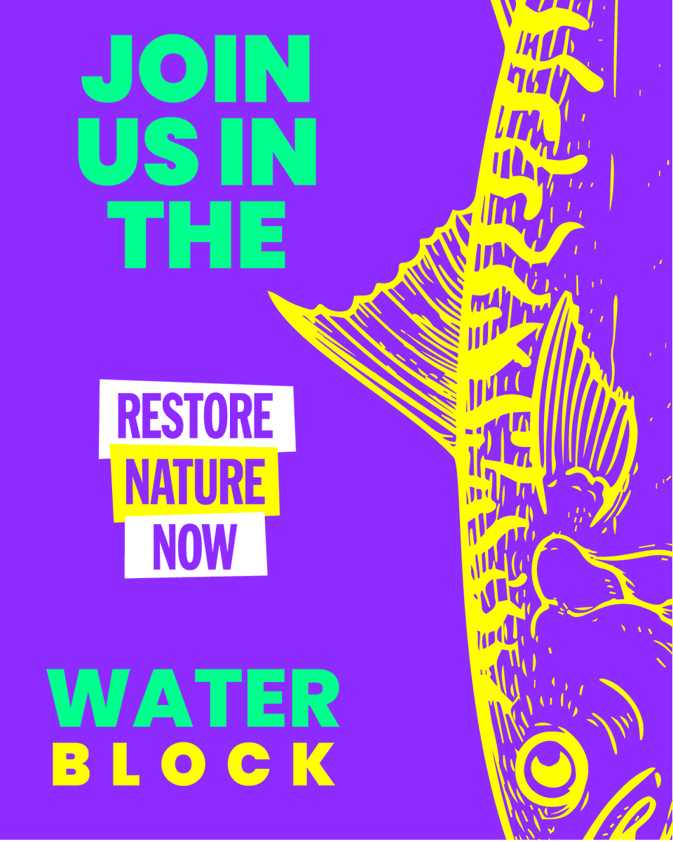 Angling Trust tweet media