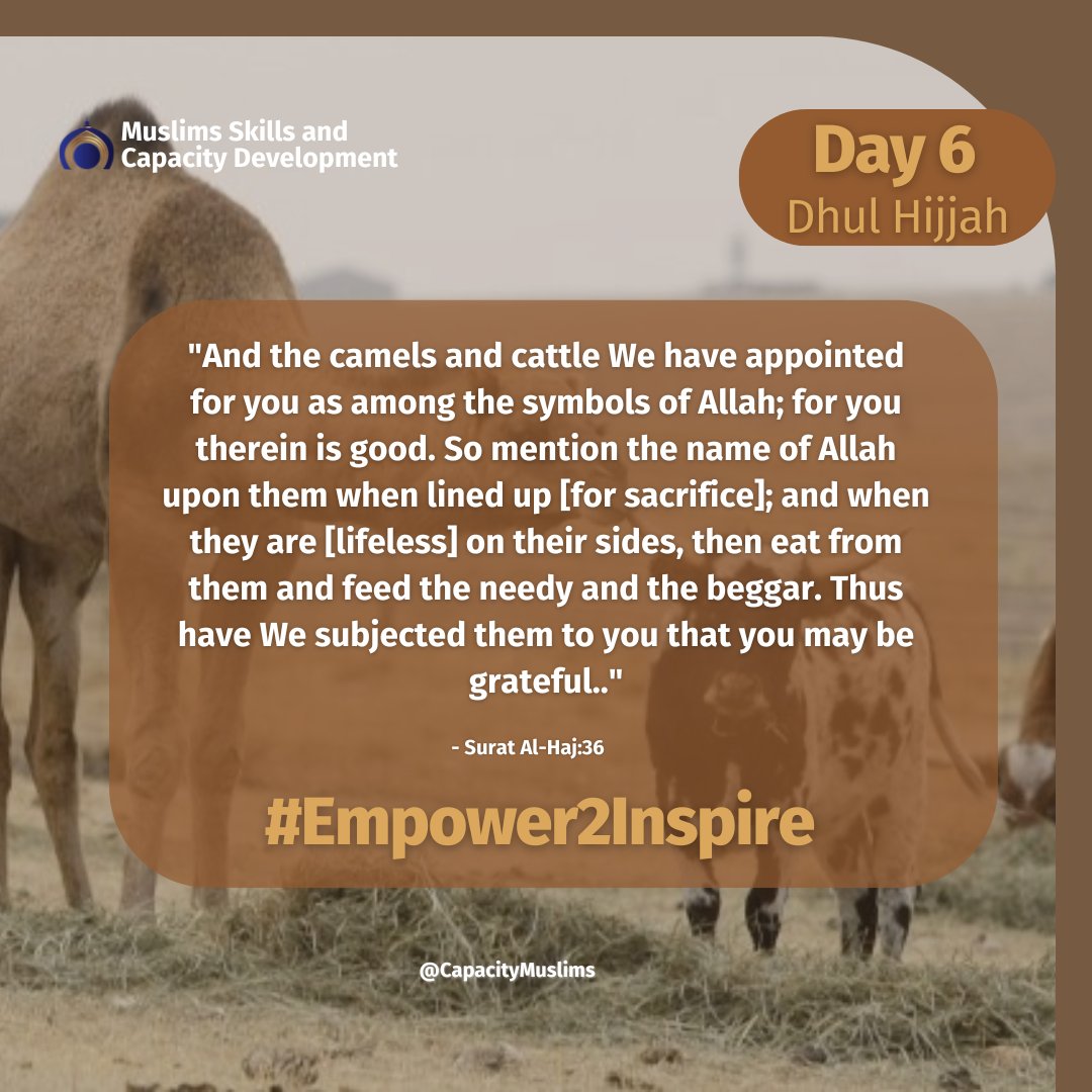CapacityMuslims's tweet photo. #Empower2Inspire #Dhul_Hijjah #DayOfArafah #1445AH #First10Days #EidUlAdhha #AyamUlMina #DaysOfTashriq https://t.co/MKE4kvYOzw