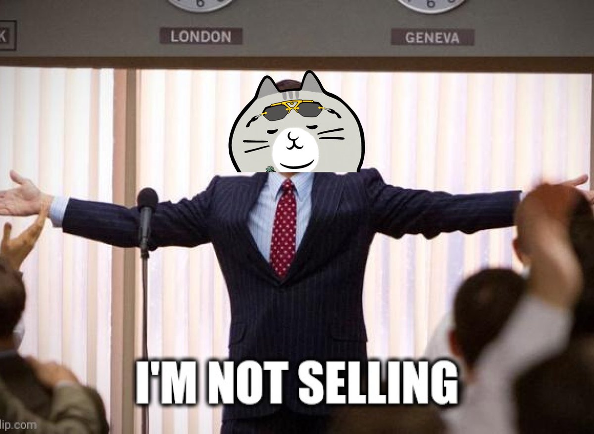 catonyacht tweet picture
