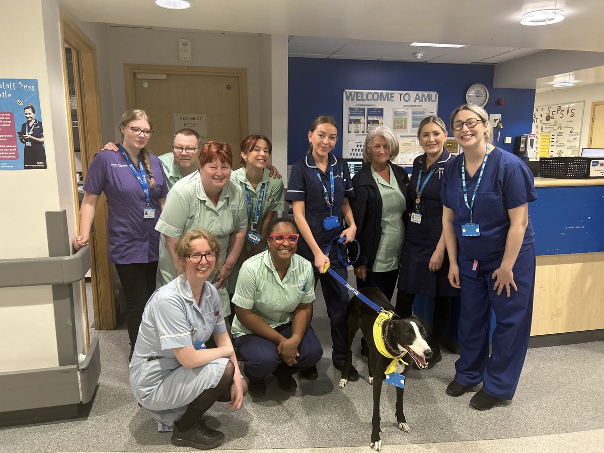AMU & SDEC (@amu_sdec) on Twitter photo ✨🐶 PETS AS THERAPY 🐶✨
We received a lovely visit from Ellie the therapy dog, she was a delight ✨
She boosted morale for our patients & the staff!
Thank you to RN Sophie Emsley for organising ☺️
<a href="/karenklmmoore/">Karen Moore</a> <a href="/mrs_flatley/">rachel flatley</a> <a href="/Caroline0511/">Caroline wilson</a> ✨🐶 PETS AS THERAPY 🐶✨
We received a lovely visit from Ellie the therapy dog, she was a delight ✨
She boosted morale for our patients & the staff!
Thank you to RN Sophie Emsley for organising ☺️
<a href="/karenklmmoore/">Karen Moore</a> <a href="/mrs_flatley/">rachel flatley</a> <a href="/Caroline0511/">Caroline wilson</a>
