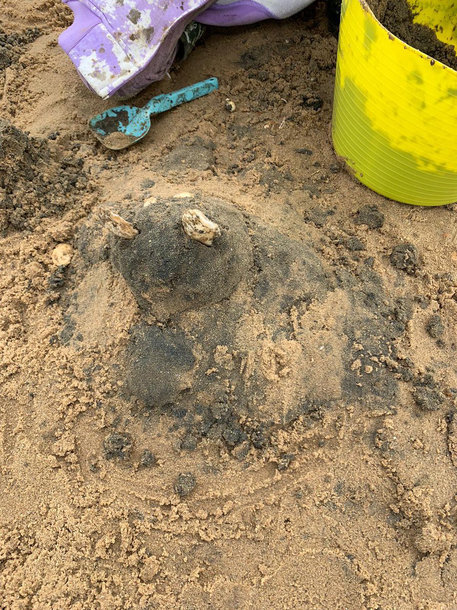 thamesideschool's tweet photo. Some brilliant designs from group 4 #ThamesideOnTour #Residential24 #Mersea24 https://t.co/m4tIj130CL