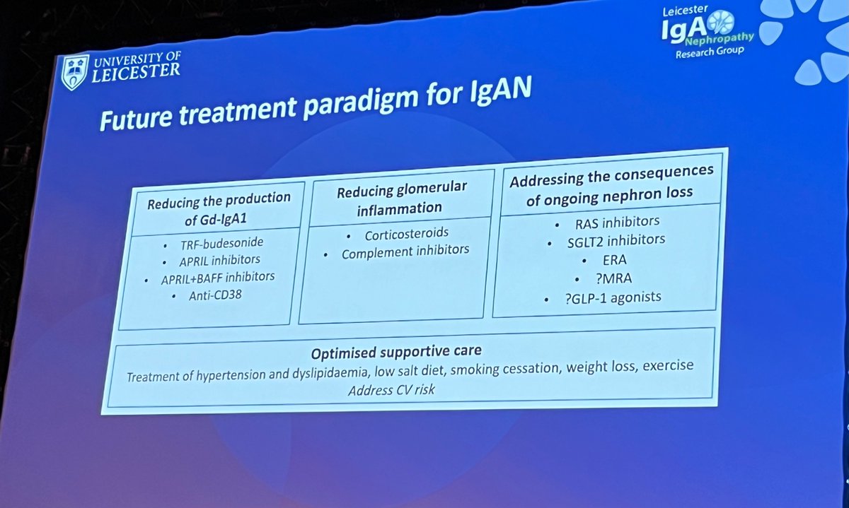 RealDr_Pepper's tweet photo. @cheekaycheung great overview of IgA.
Take home messages:
Even with low levels of proteinuria, risk of ESRF with long term follow up @DannyGale_1 
Future promising with new treatments on the horizon https://t.co/jxOw9gi5eA