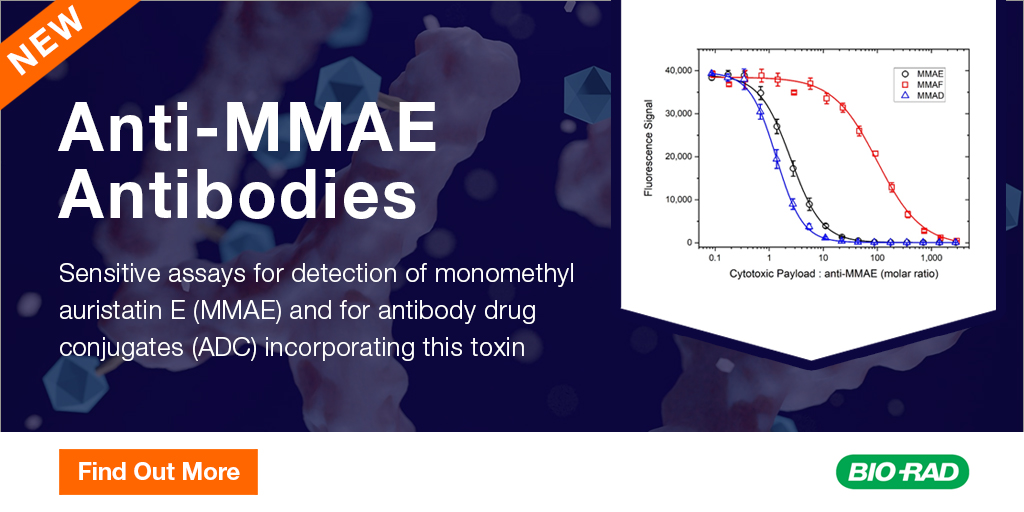 Discover antibodies recognizing the #MMAE toxin, which can be linked to monoclonal antibodies to form an antibody-drug conjugate. Upon binding to the target, the toxin is released in the cell, activating an antimitotic mechanism. 
Learn more: ow.ly/zgkv50RSgz9

#Biopharma