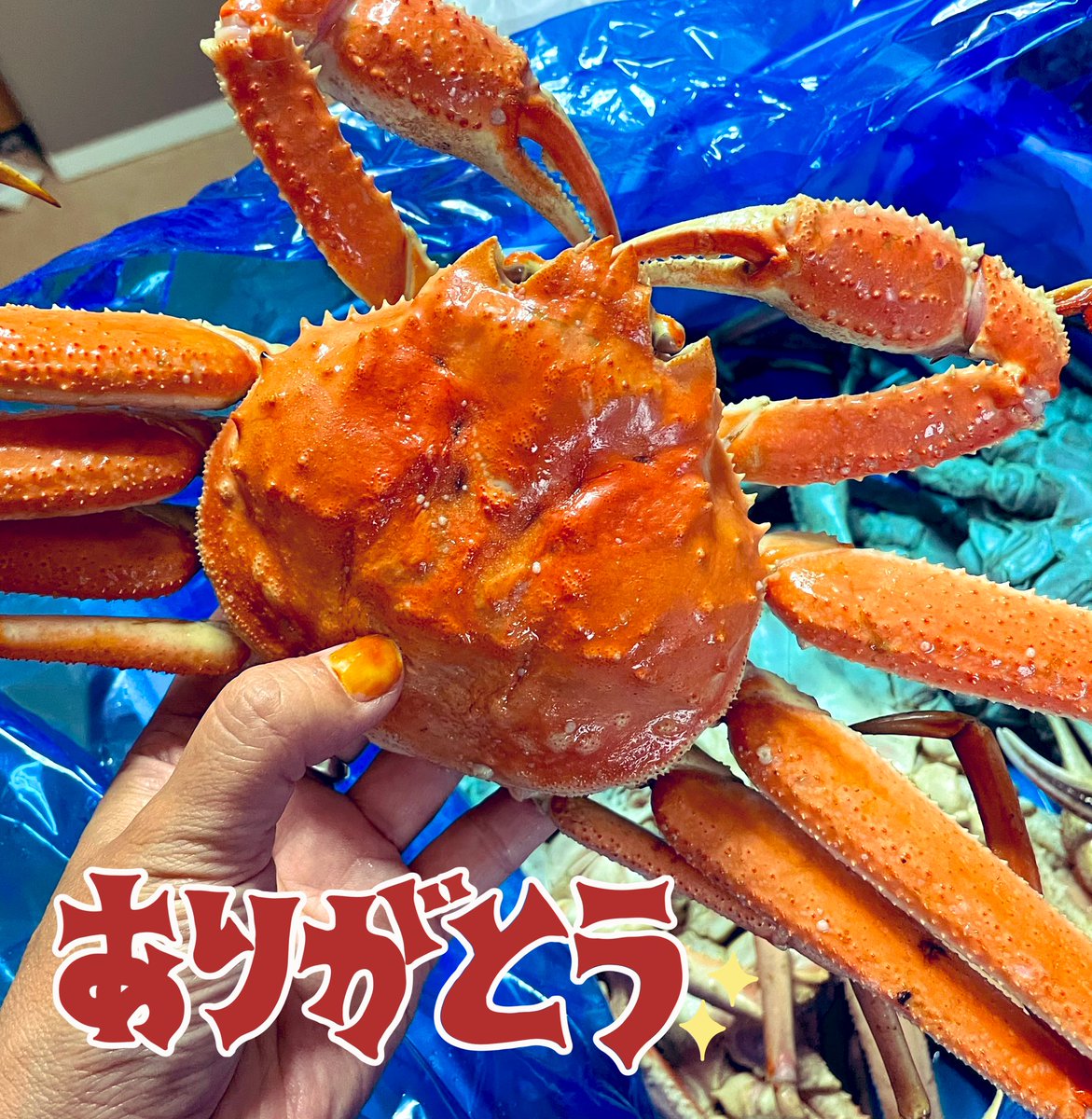 MaeyuGa0726's tweet image. 気前が良すぎる山口様‼️‼️

届きました‼️🦀🦀🦀🦀
絶対コレおまけしてあるww

熊本でカニ祭開催‼️‼️

ありがとうございました😭😭
#HKC
#北海道カラオケチャンピオンシップ
#豪華すぎるカニ祭り