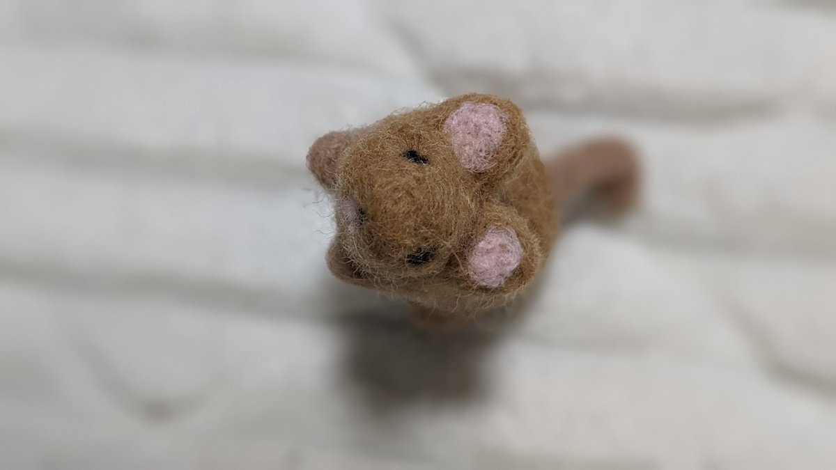 onigishidegu's tweet photo. 羊毛フェルトで作りました🫶🫶
初めてなのにちゃんとかわいいぞ…！！！
#デグー
#羊毛フェルト https://t.co/R6x854gQoG
