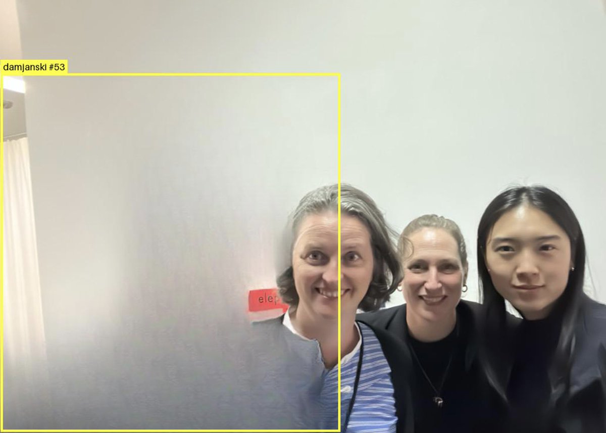 More pics from the 'Magenta Elephants’ opening last Friday