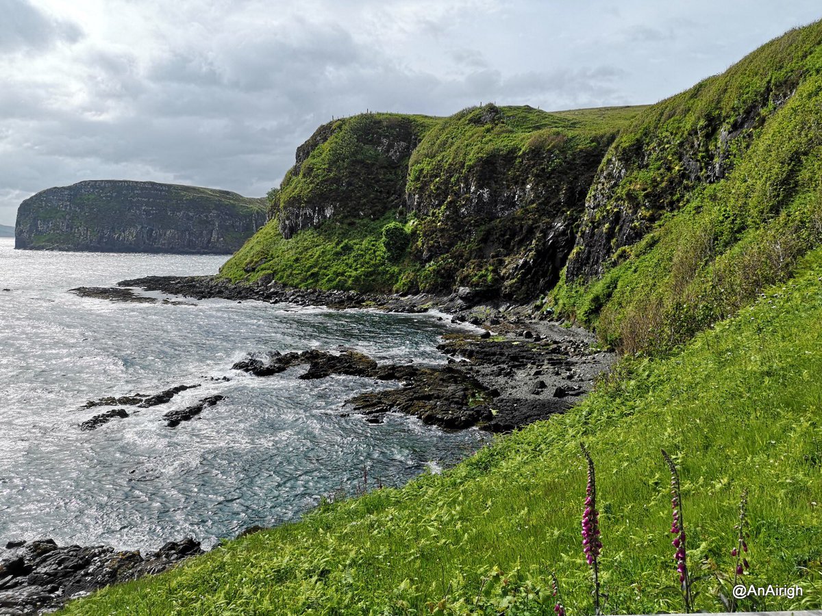 A wee walk to the shore, Loch Dunvegan, Isle of Skye