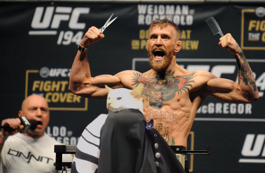 cat getting fade tweet media