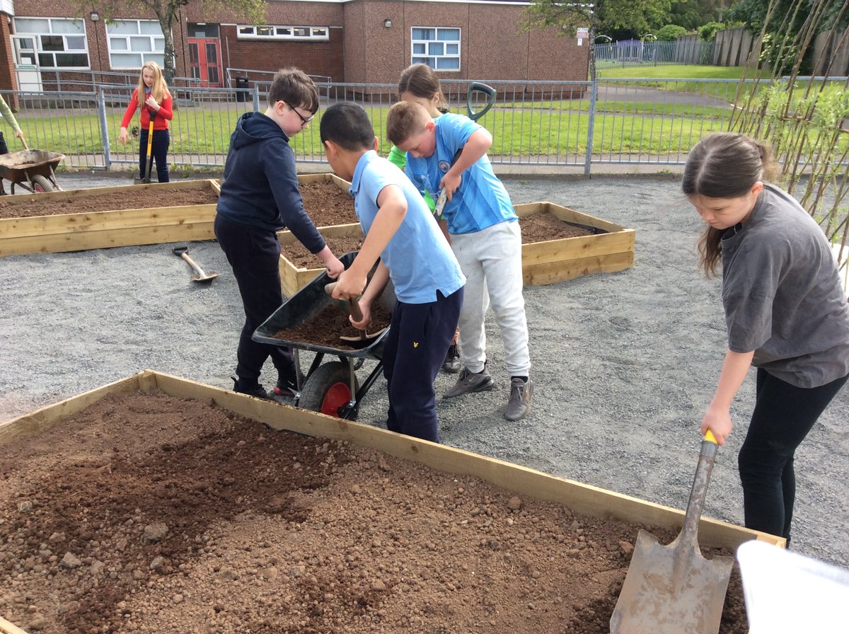 MrDonaghy1's tweet photo. Primary 6 have been busy helping to create and decorate our new school garden. Great teamwork! @stcatherinespsy @MorganS_HWB 🌺🍓🖌️ https://t.co/YWvTMMShYZ