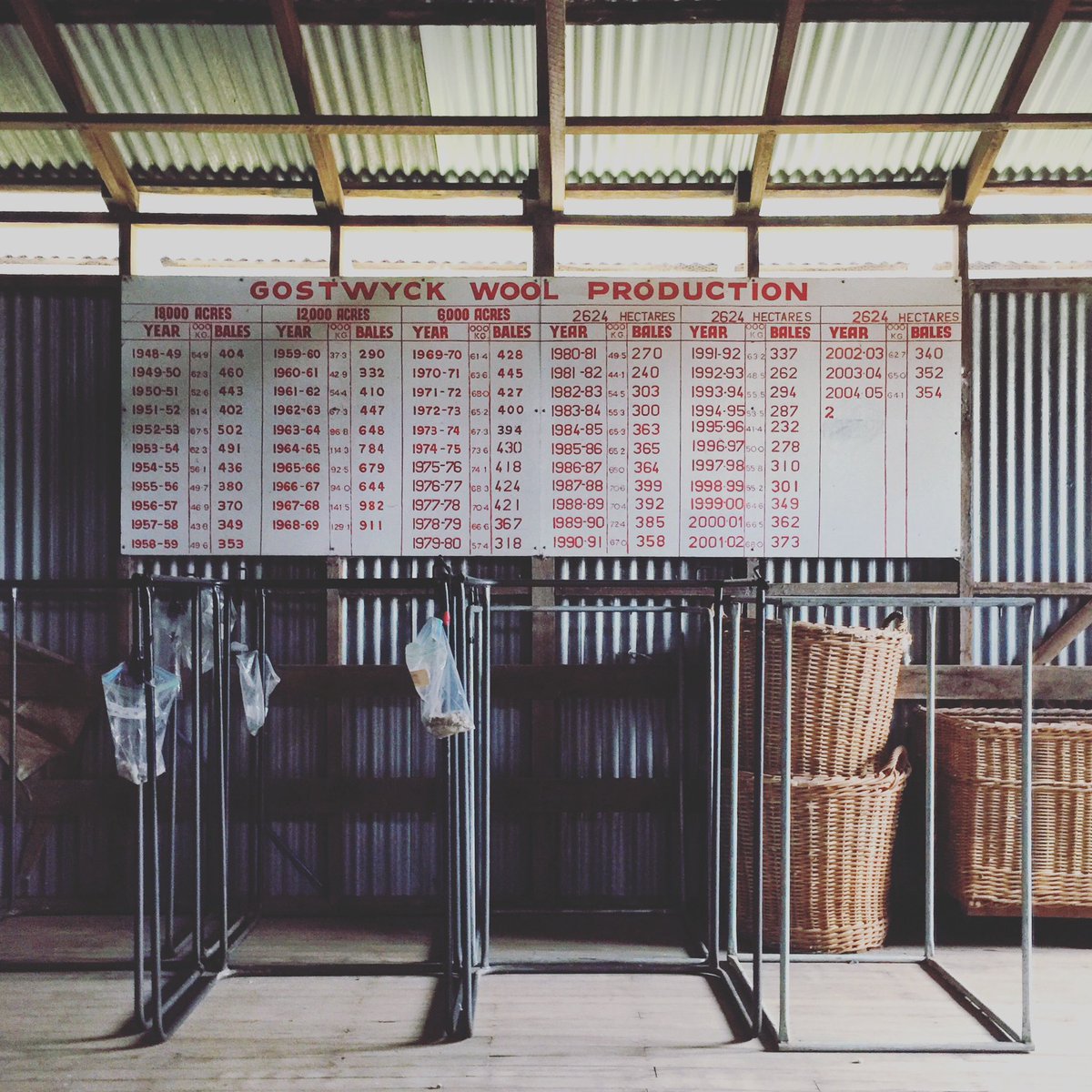 kelsey cooke tweet media