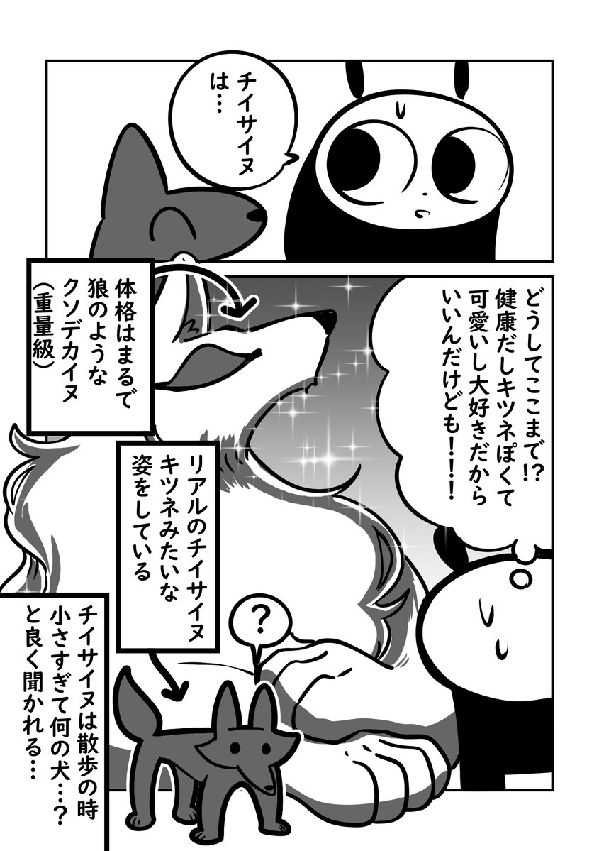 同じ犬のはずなのに何故か片方だけ… 3/3 