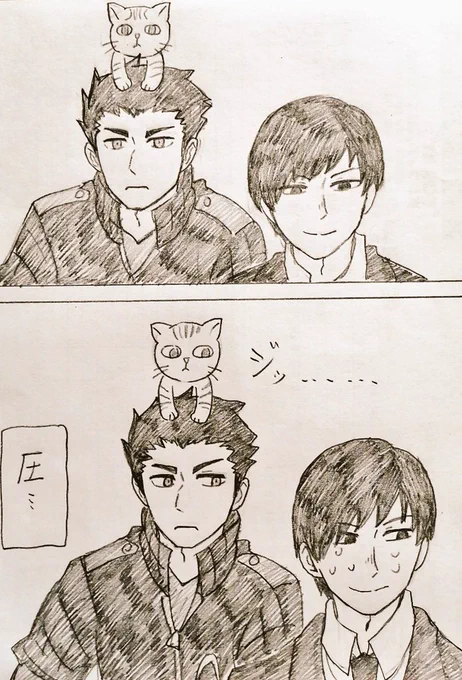 ( ΦωΦ ) 