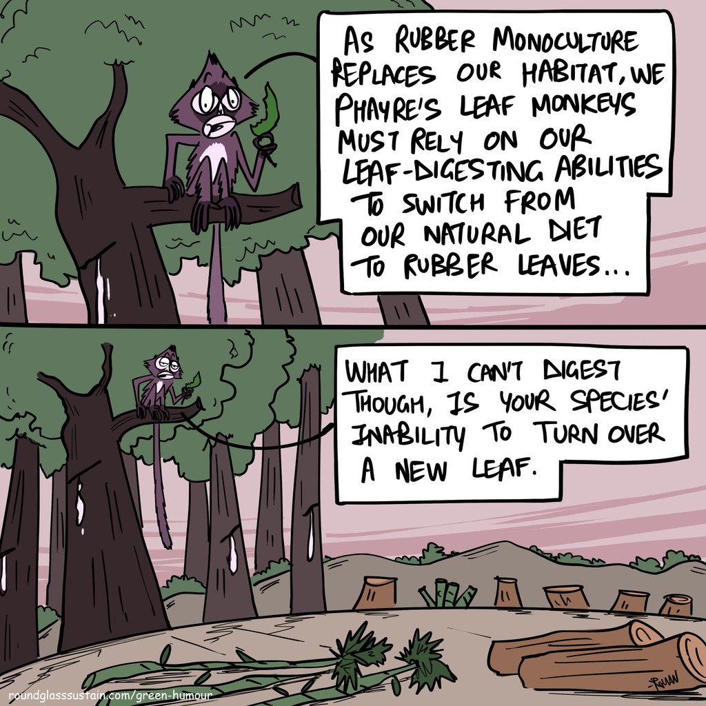 RGSustain1's tweet photo. The Phayre's leaf monkeys are turning over a new leaf. Why can't
we?
By Green Humour @thetoonguy
#phayresleafmonkey #monoculture #wildlifecomics #roundglasssustain https://t.co/ikrehyDGE4