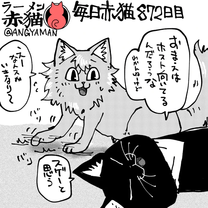 ジュエルはサブに褒められるのが一番嬉しい
#ラーメン赤猫 #ジャンププラス
103話 https://t.co/T8LGMcImZE 