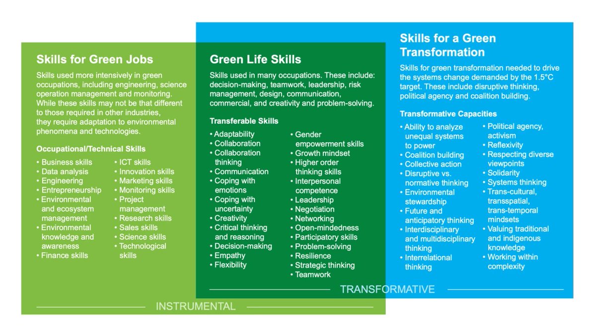 World Bank Education & Skills tweet media