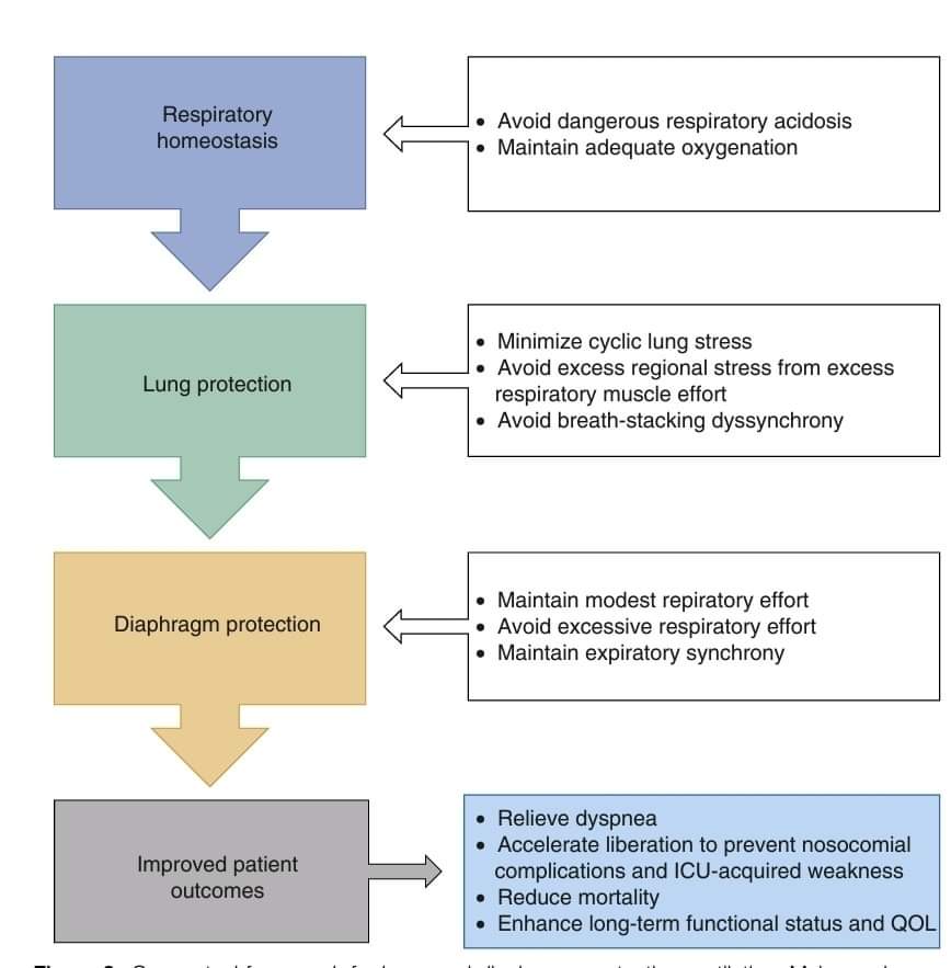 LeslieMegom's tweet photo. 🔰Ventilación protectora de los pulmones y el diafragma🫁▪️◾️▪️◾️
👇🏽👇🏽👇🏽👇🏽👇🏽👇🏽
https://t.co/eZ4sz3uAl3
🗝🔓
https://t.co/sMMJ8bYfPH https://t.co/EQ5aLZFeqz