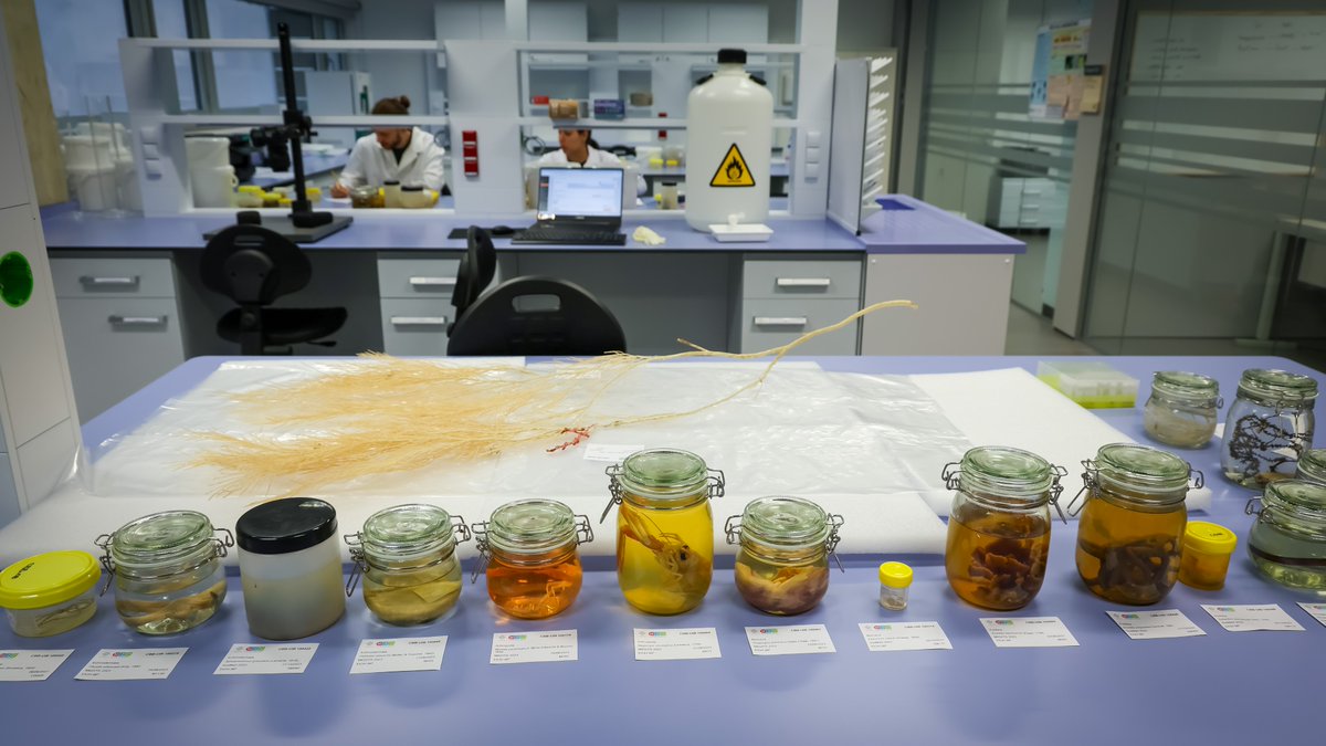 UIBuniversitat's tweet photo. 📢 Avui s'ha inaugurat el nou Complex de #Recerca de les Illes Balears.

Reuneix al Parc Bit grups d’investigació i instituts de recerca de diferents centres públics amb l'objectiu de millorar la capacitat #investigadora, contribuir a la #competitivitat i afavorir la generació de #sinergies.

🔗https://t.co/r5JxgCbu3x