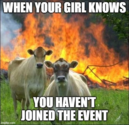 Angry Bulls Club tweet media