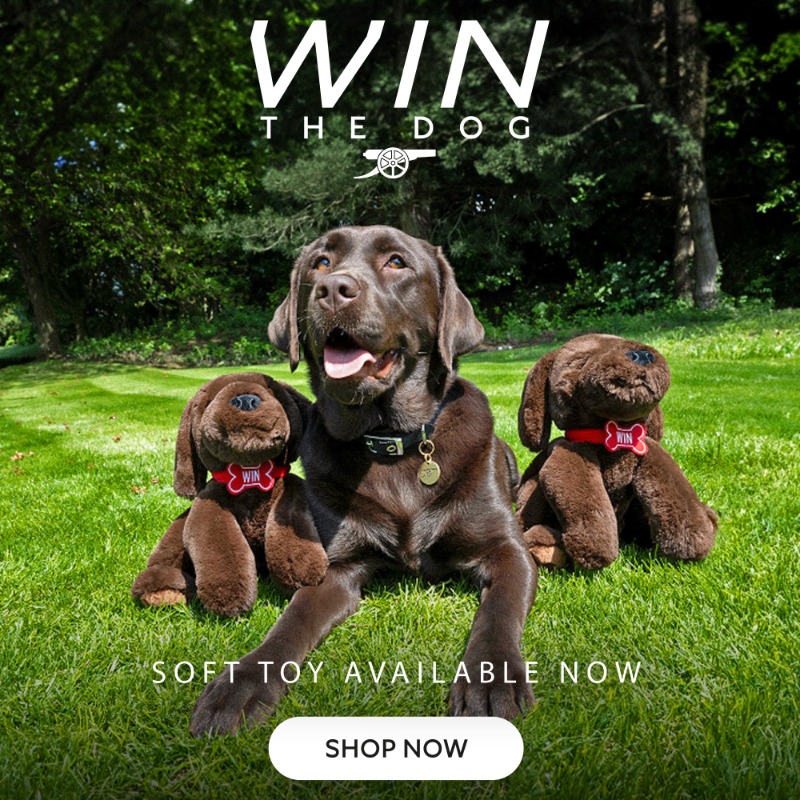 Arsenal's tweet photo. A new addition to our soft toy range 🐾

Grab yourself a mini Win now! 👇