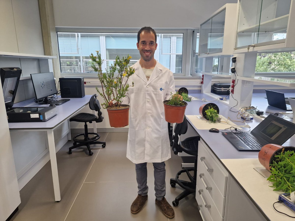 PlantMed UIB tweet media