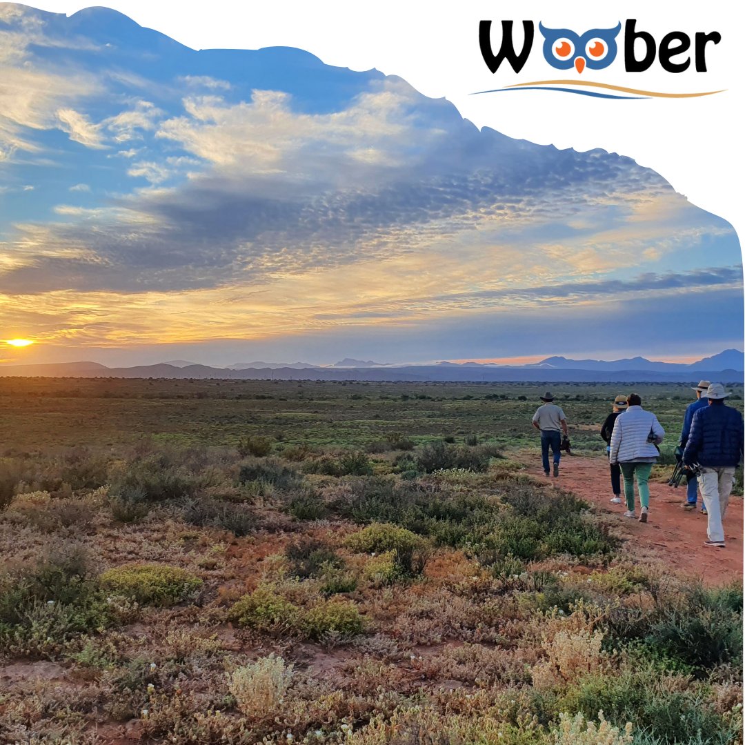 GRC_Tours's tweet photo. Early start for the Five Shy Meerkat Experience in Oudtshoorn.
.
.
.
.
#woober #gardenrouteconcierge #meerkats #fiveshymeerkats #oudtshoorn #karoo #sunrise #southafrica #meerkattour #daytours #meekatadventures #wildlife https://t.co/QeSqeaK2x9