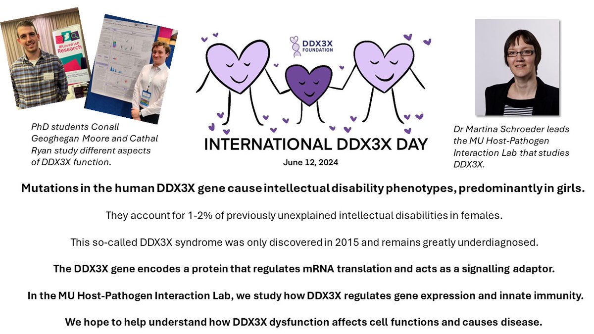 Dr Martina Schroeder (@muhost_path) on Twitter photo Today is international DDX3X Day. My lab studies #DDX3X to understand how its dysregulation can cause disease. We are hiring PhD students, a postdoc and an RA to expand our team. Get in touch for more info and RT. <a href="/ddx3x/">The DDX3X Foundation</a> <a href="/ddx3xsupportuk/">DDX3X Support UK</a> <a href="/DDX3X_ES/">Asociación DDX3X España</a> Today is international DDX3X Day. My lab studies #DDX3X to understand how its dysregulation can cause disease. We are hiring PhD students, a postdoc and an RA to expand our team. Get in touch for more info and RT. <a href="/ddx3x/">The DDX3X Foundation</a> <a href="/ddx3xsupportuk/">DDX3X Support UK</a> <a href="/DDX3X_ES/">Asociación DDX3X España</a>