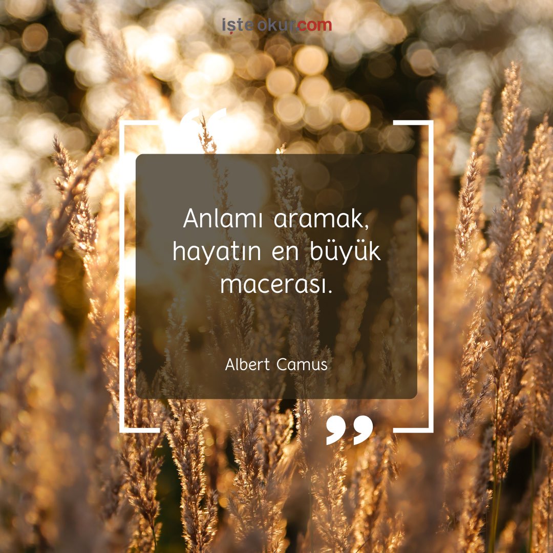 İşte Okur tweet media
