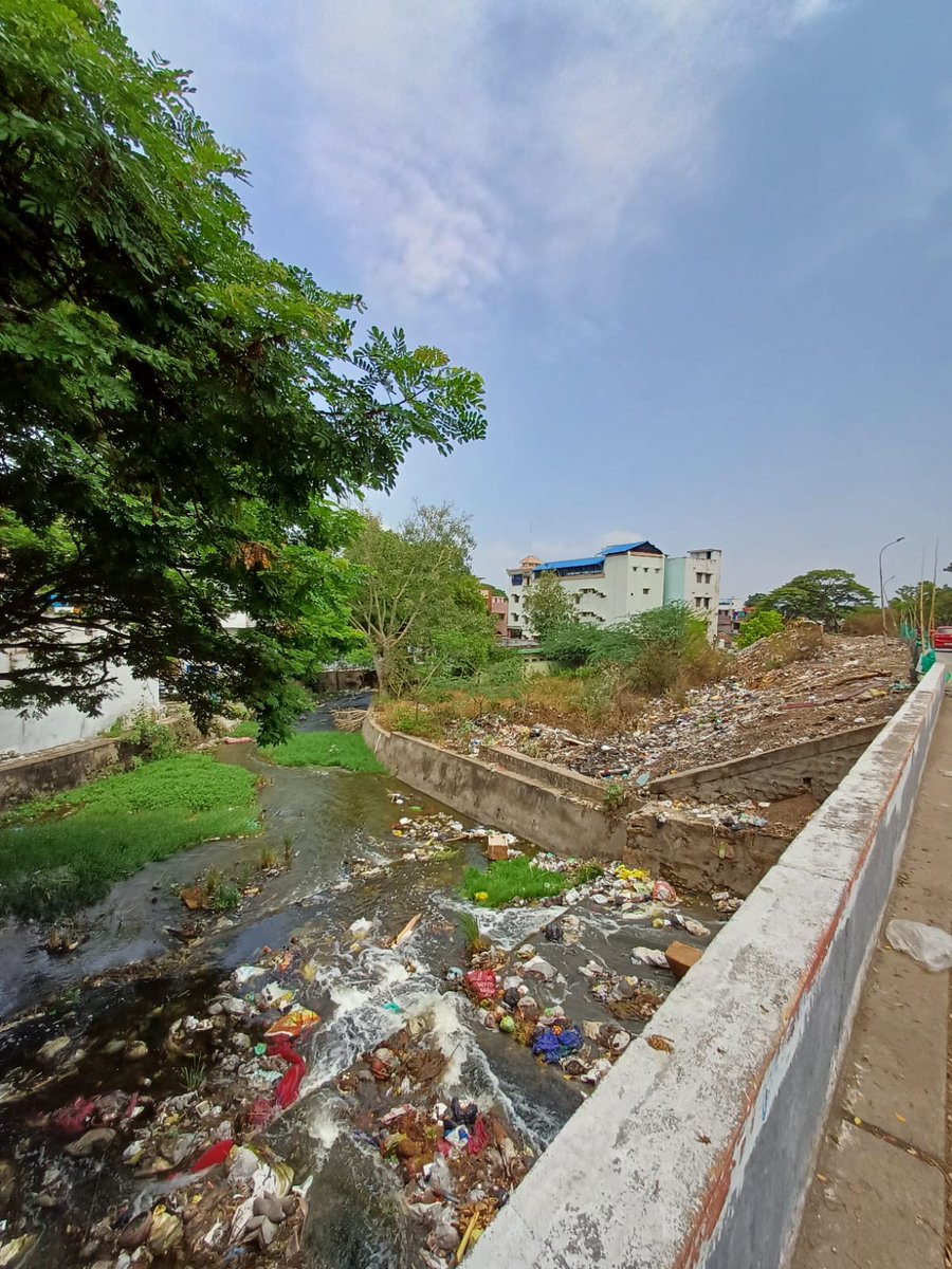 AvantikaKrish's tweet photo. #WardWatch | The outlet canal of Kumaraswamy tank in #Coimbatore, which connects to the Selvachintamani tank, is witnessing a resurgence of open dumping. This has clogged several parts of the 3.7 kilometer long canal. Rest of Ward 77 is no different. All efforts to deter the practice by installing green nets have been in vain.@THChennai