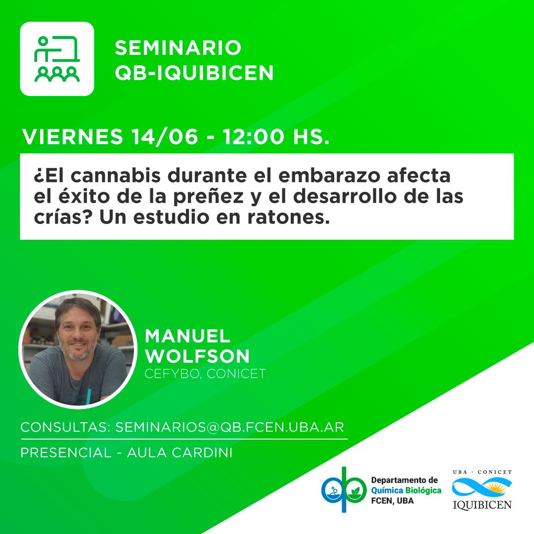 iquibicen's tweet photo. ¿El cannabis durante el embarazo afecta el éxito de la preñez y el desarrollo de las crías? Un estudio en ratones.

El Dr. Manuel Wolfson @cefybo dará un seminario en @Exactas_UBA este viernes a las 12 hs en el Aula Cardini. 

No se lo pierdan! https://t.co/e6LcWDL13R