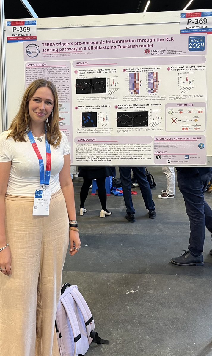 LabMione_Cibio's tweet photo. A great opportunity for our @IrenePecchini to present her science at the #EACR2024 annual congress. An amazing chance to talk about innovative cancer science. 

#Zebrafish #CancerResearch @EACRnews #Glioblastoma https://t.co/DfRozwgH5b