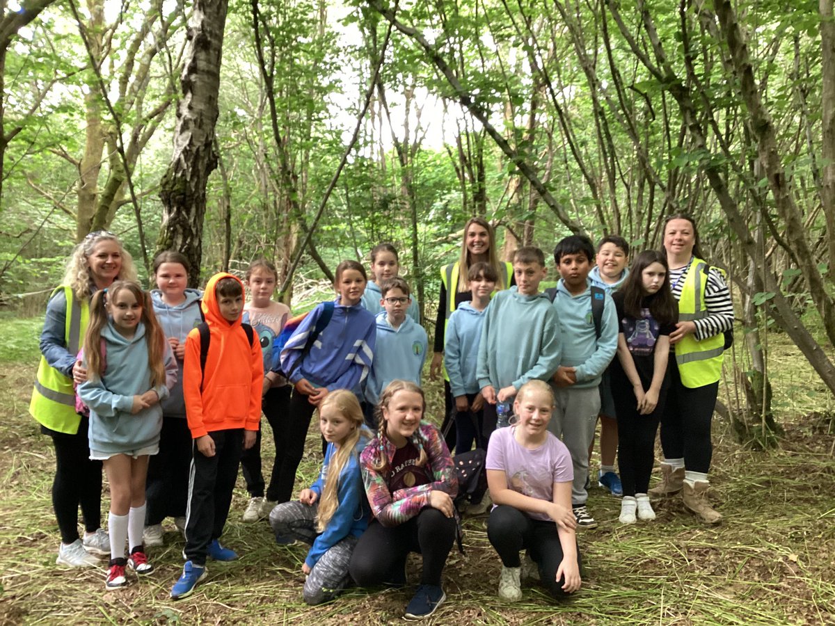 BPSYearSix tweet media