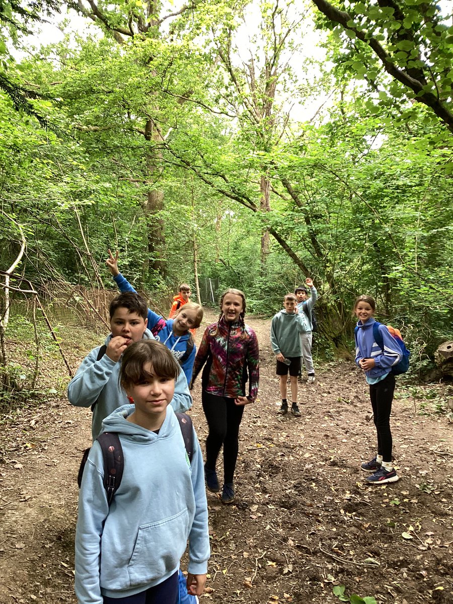 BPSYearSix tweet media