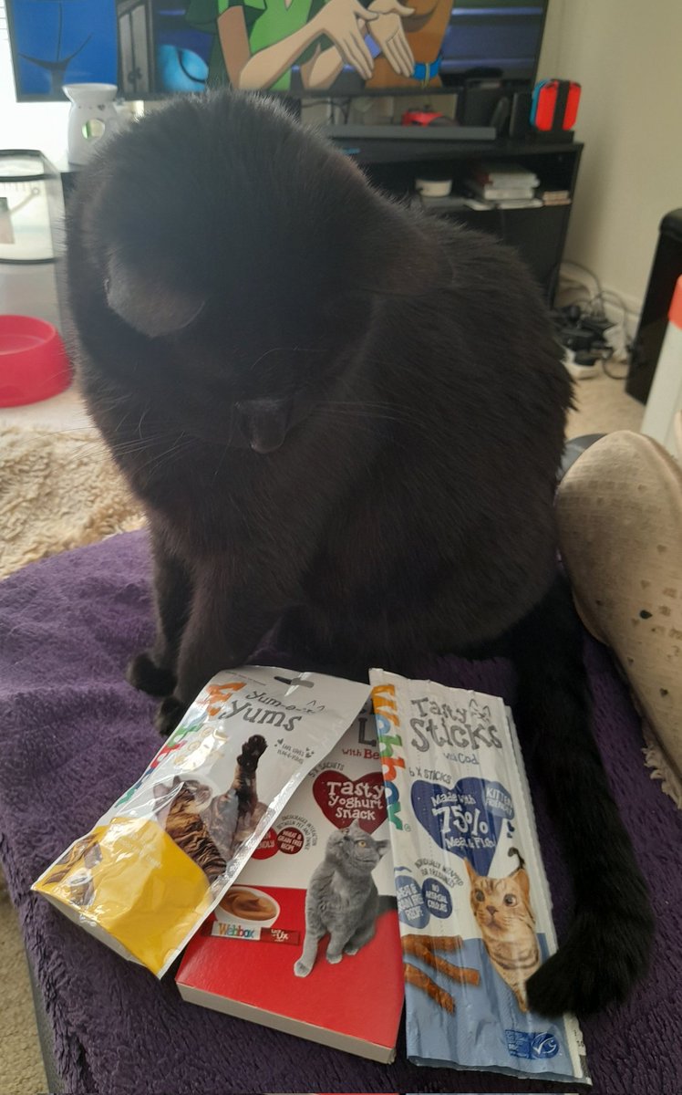 Cybasid's tweet photo. @WebboxPetFood He likes them all. He does get a choice and he puts his paw on the one he wants, always different. We have even given him a frozen one to try, but we forgot about the brain freeze https://t.co/hm6g4Nui9p