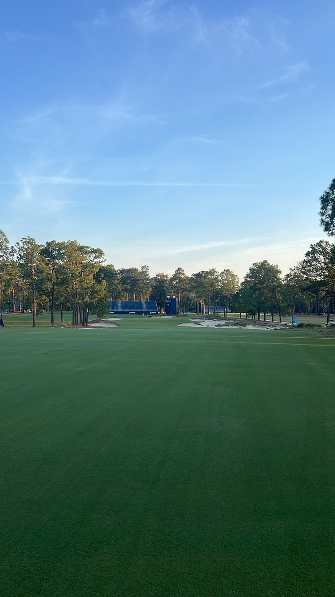 Willy Wilcox tweet media