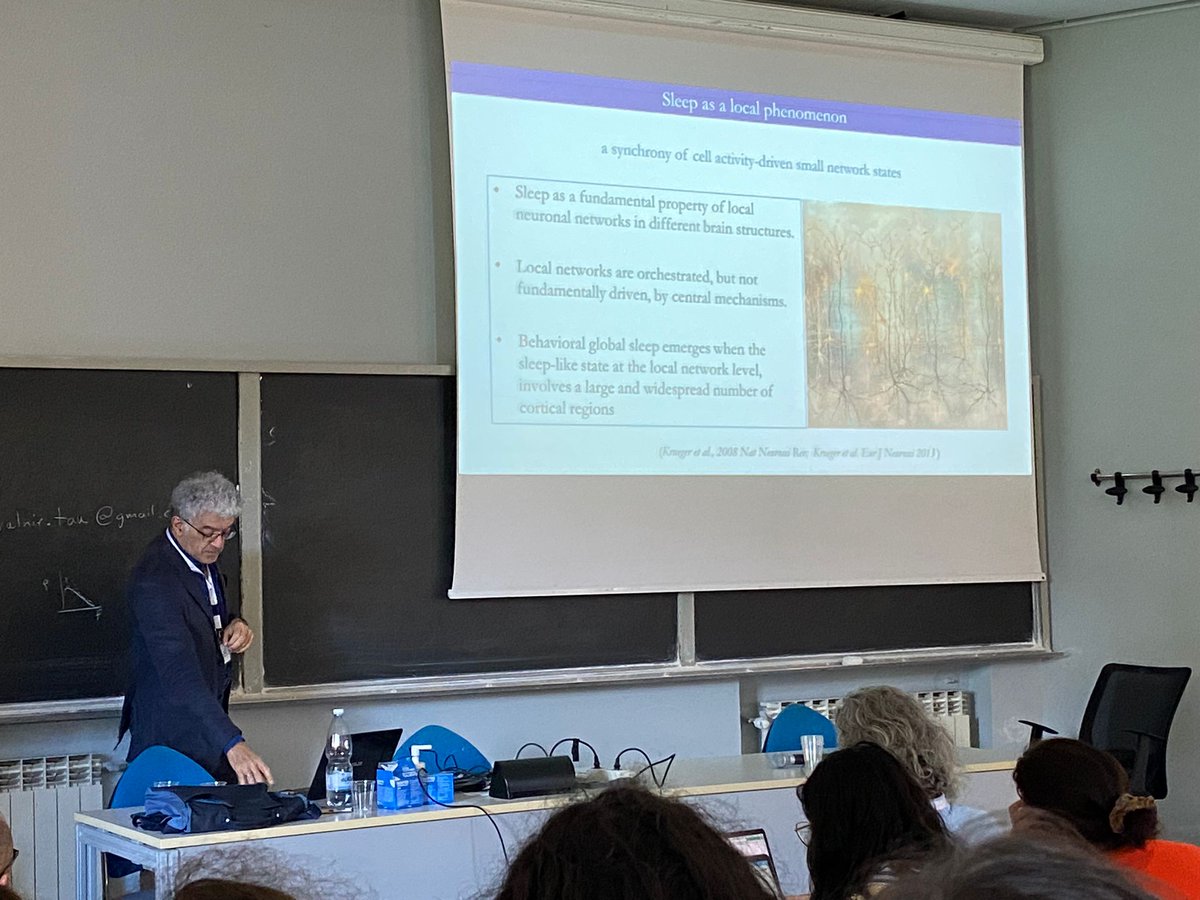 Fluid boundaries between sleep and wake - Lino Nobili