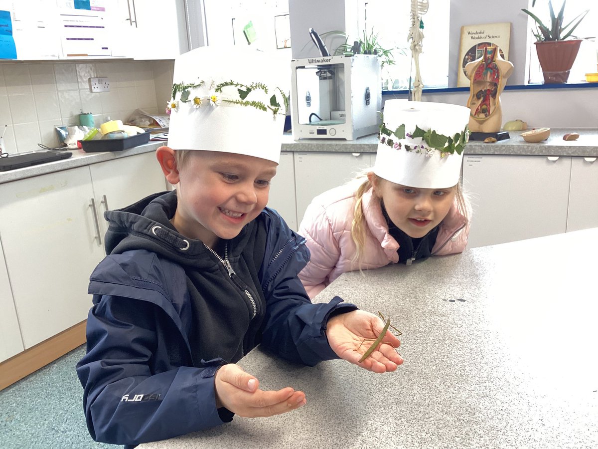 Lab_13Irchester's tweet photo. Welly Wednesdays - Nature crowns and Stick Insect handling today! How cute do those crowns look?!? https://t.co/wcT4gQGLDA