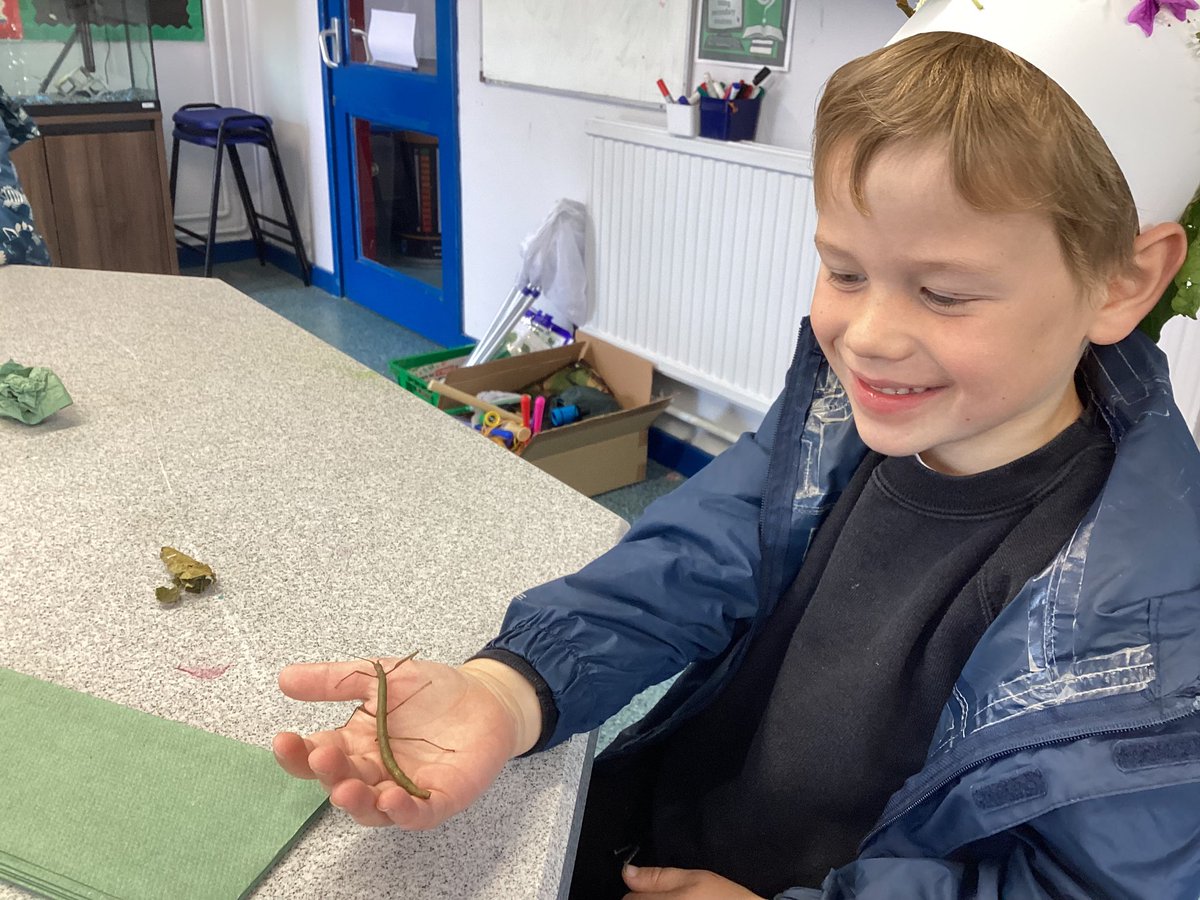 Lab_13Irchester's tweet photo. Welly Wednesdays - Nature crowns and Stick Insect handling today! How cute do those crowns look?!? https://t.co/wcT4gQGLDA