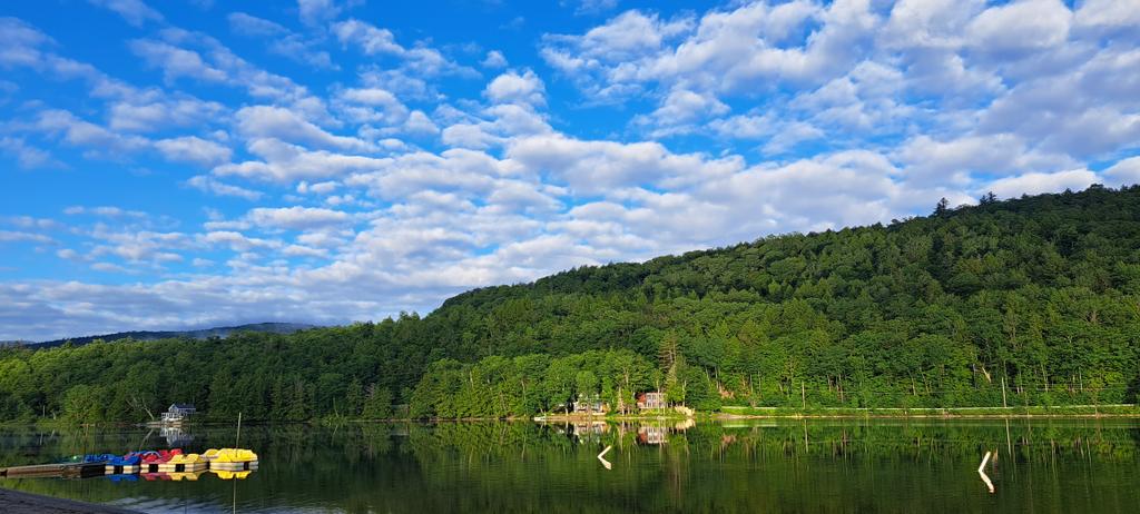 vagabondway's tweet photo. Early morning goose patrol and WOW the lake is looking stunning! 😍
@VTStateParks @ThisIsVT @okemovalley #floodrecovery #vtstrong #lakelife #vermont https://t.co/MkBxC4fD0s