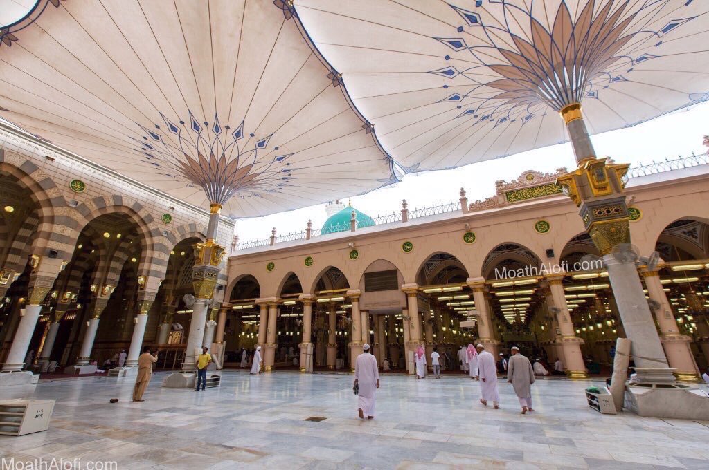 ㅤ 
فرصة لأهالي #المدينة_المنورة وزوارها الصلاة في #المسجد_النبوي بعد ذهاب الحجاج الى مكة المكرمة 
ㅤ