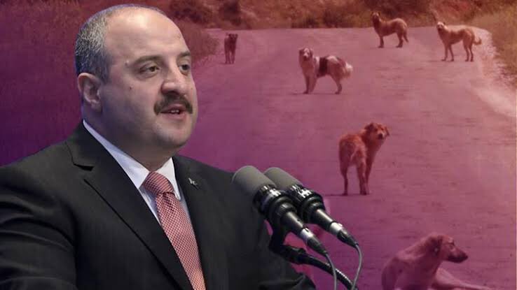 gizliservis06's tweet photo. Mustafa Varank: (Köpek Terörü)

Annelerin çocuklarını okula korkuyla göndermesine,

Yaşlıların yürüyüşe endişeyle çıkmasına,

Bir evladımızın dahi kuduza yakalanmasına,

Hiçbirimizin gönlü razı değil, asla da gelmez!

Halk sağlığı tehlike altındayken, sorumluluk sahibi kişiler olarak, duygusallıkla değil bilimsel ve uygulanabilir çözümlerle hareket etmeliyiz.