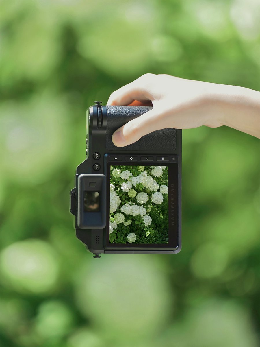 Hasselblad's tweet photo. See how Kinoko used X2D and 90V to perfectly capture the essence of summer with those stunning green visuals!
#hasselblad #hasselbladx2d https://t.co/F7ZeqQSTBf