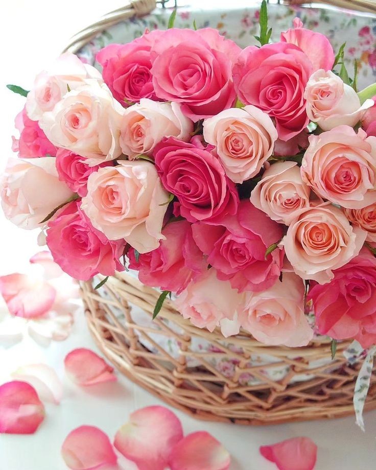 f_mathematic's tweet photo. @AbeEldesiempre @Abe32555420 Buenos dias Abe🥀🥀🥀🌸🌸🌸 https://t.co/7dwbuyv0XT