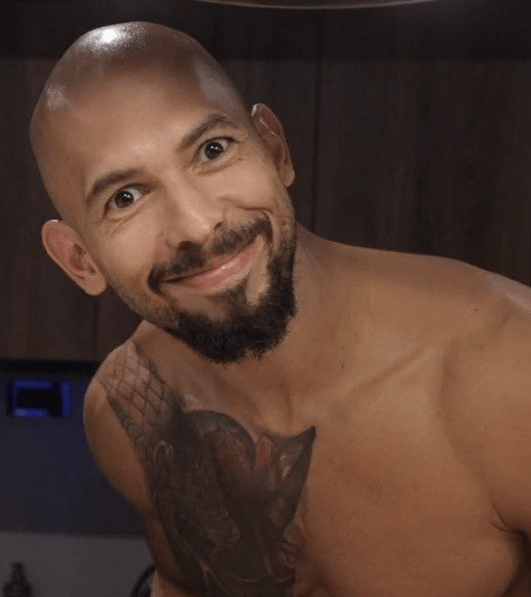 Bubblemaps tweet media