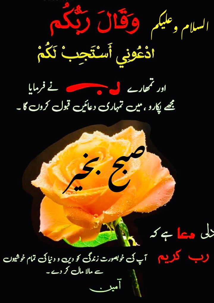 ghangera's tweet photo. @MaizaHameedMNA https://t.co/hIKnERmKmQ